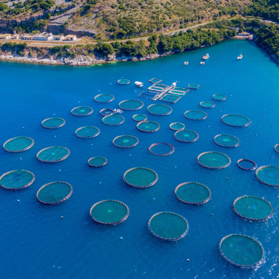 AdobeStock_4875115272