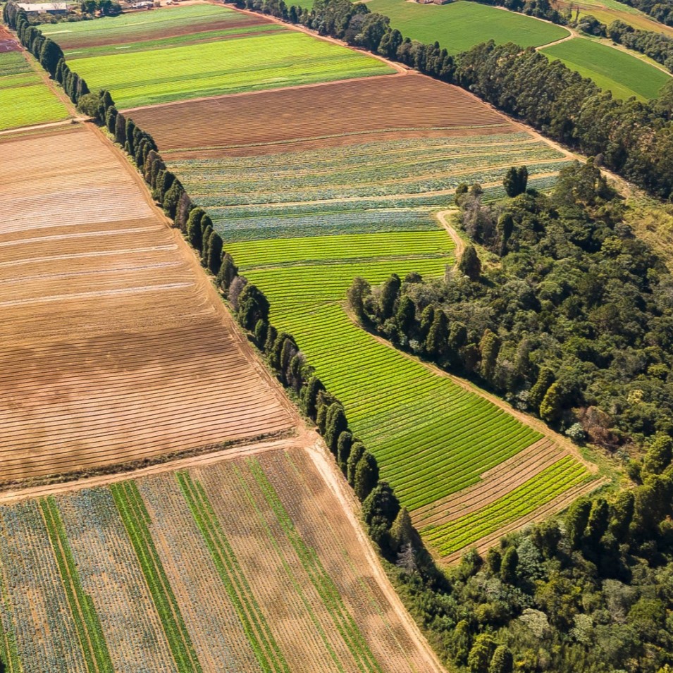 AdobeStock_216583251